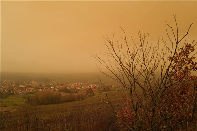 BELGAIMAGE-172804269