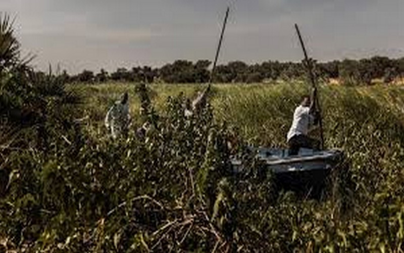 Tchad : au moins 35 morts dans des affrontements entre éleveurs et cultivateurs
