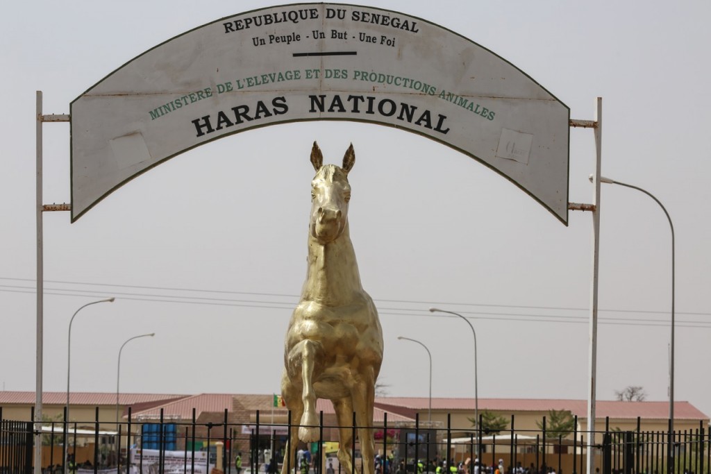 Haras national : plus de 2500 inséminations réalisées en six