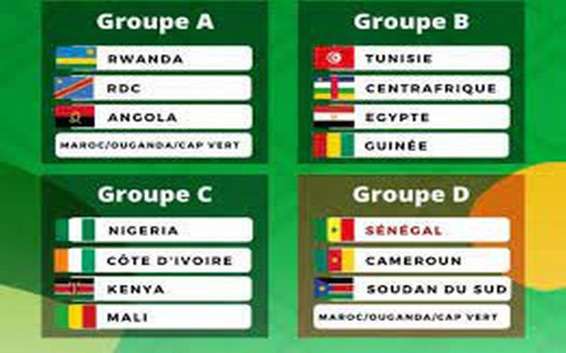 Afrobasket Kigali 2021 : Les Lions dans le groupe D en compagnie du Cameroun, du Sud Soudan