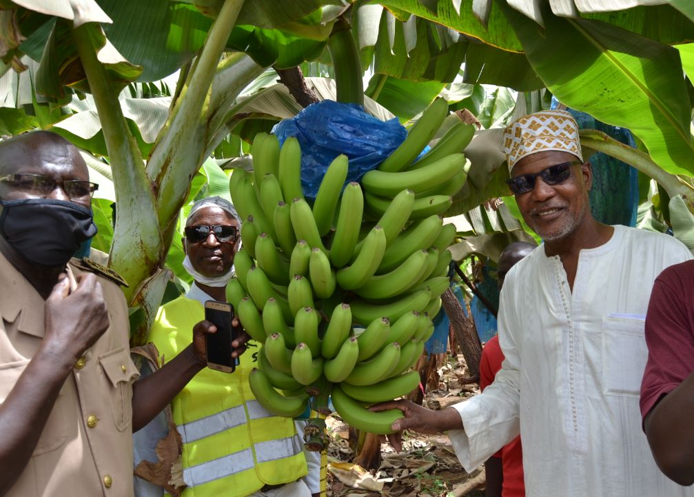 Lutte contre la pauvreté à Pakour : le GIE Yellitaré a débloqué une enveloppe de plus de 13 million de francs CFA pour payer les salaires des femmes partenaires de la bananeraie de Manato