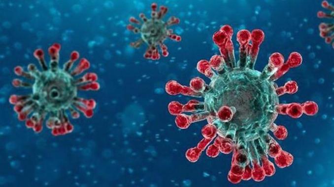 Coronavirus : Vingt-deux nouvelles contaminations annoncées lundi