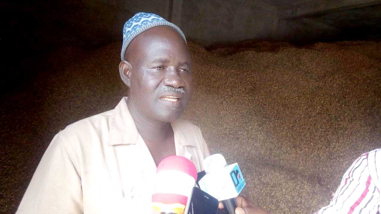 Semences d’arachide : Plus de 1 000 tonnes encore disponibles à Kolda.