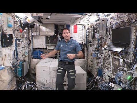 Mission Alpha : le journal de bord de Thomas Pesquet en vidéo