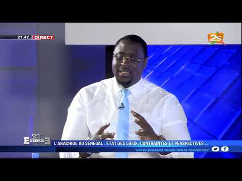 🛑PREMIÈRE PARTIE 90MN ENSEMBLE: L&rsquo;ARACHIDE AU SÉNÉGAL: ÉTAT DES LIEUX, CONTRAINTES ET PERSPECTIVES