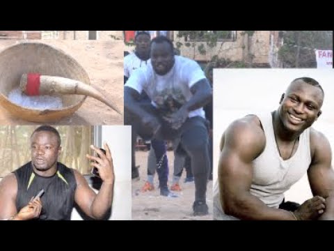 Open Presse Guargua2: Modou Lô et Papa Sow enflamment les parcelles avant le combat face Mama Lamine