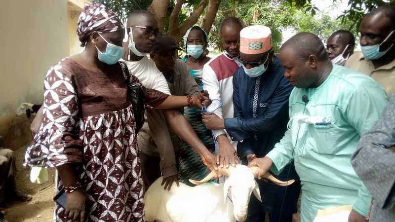 TABASKI :Mameboye Diao fait un don de 300 moutons à des familles nécessiteuses