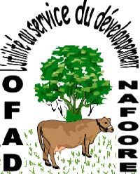 Protection des enfants : OFAD NAFORE redonne du sang neuf aux conseils municipaux des enfants du département de Médina Yéro Foula