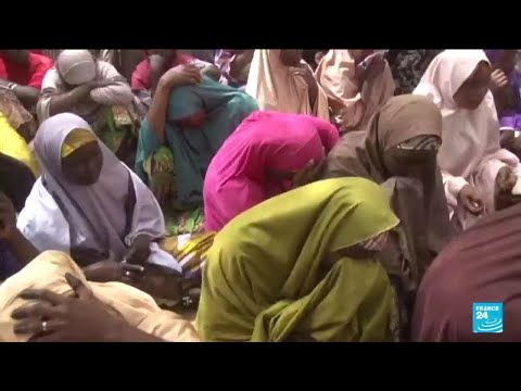 Nigeria : libération de dizaines d&rsquo;élèves kidnappés, six morts en captivité • FRANCE 24