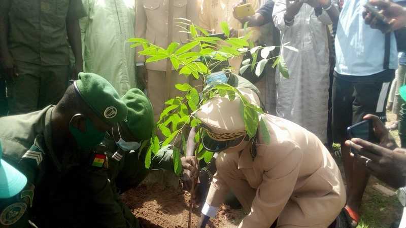 Campagne de reboisement : 400 000 plants sont disponibles dans la région de Kolda (IREF)