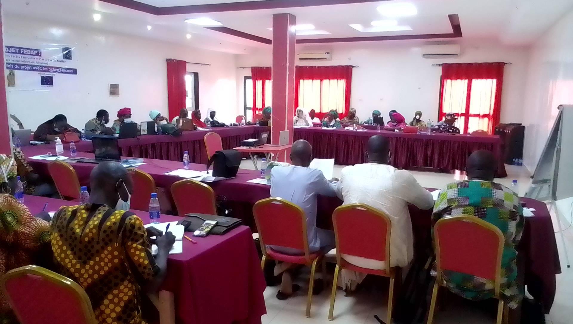 Promotion des Droits Humains : le RADI a contribué à faire reculer les VBG au sud du pays