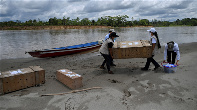 BELGAIMAGE-183882184