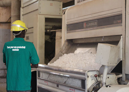 SODEFITEX : la Direction générale renonce à la fermeture de l’usine de Kolda (MAER)