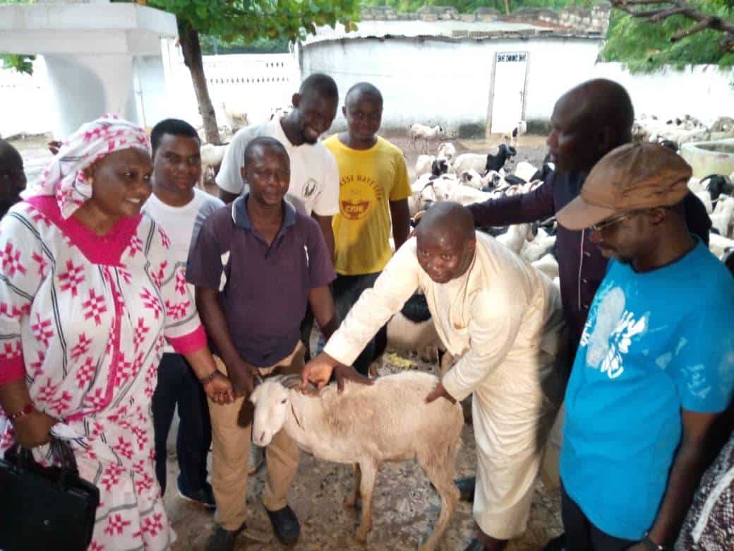 Tabaski 2022 : Mameboye Diao distribue 450 moutons à Kolda
