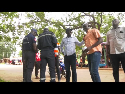 BIGNONA: LE MAIRE ET LA COMMISSION DE LA PROTECTION CIVILE IDENTIFIENT LES ARBRES GANGEREUX