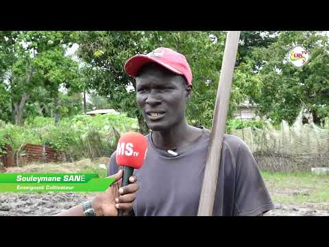 ZIGUINCHOR : À la Découverte du Kadiandou
