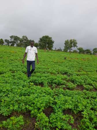 Campagne agricole 2022/2023 : SABUS a emblavé 1154 ha et mobilisé 58 326 580 F en intrants et crédits