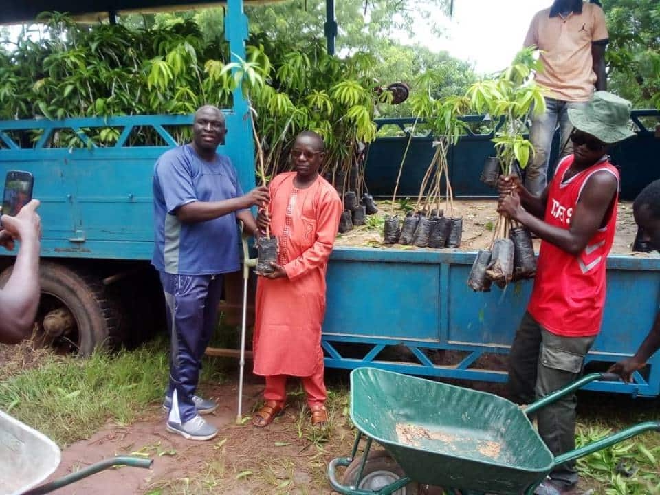 Agropole sud : ADC Ninnaba de kolda vient de réceptionner 4000 plants de manguiers améliorés