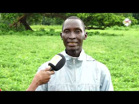 Regarde croisé sur un agriculteur d’arachide