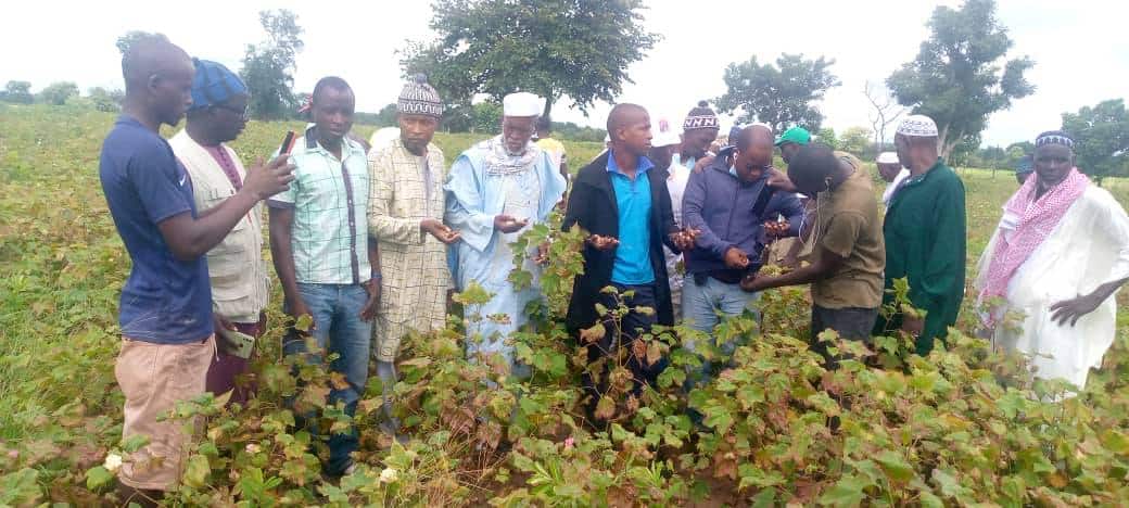 Visite du DG de la SODEFITEX à Médina Yoro Foula : « Ce que nous avons vu est vraiment très, très inquiétant… »