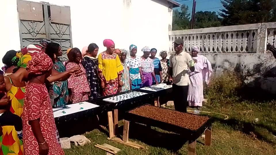 Autonomisation économique des femmes à Kolda   : la Mairie forme une trentaine de femmes en techniques de micro-jardinage