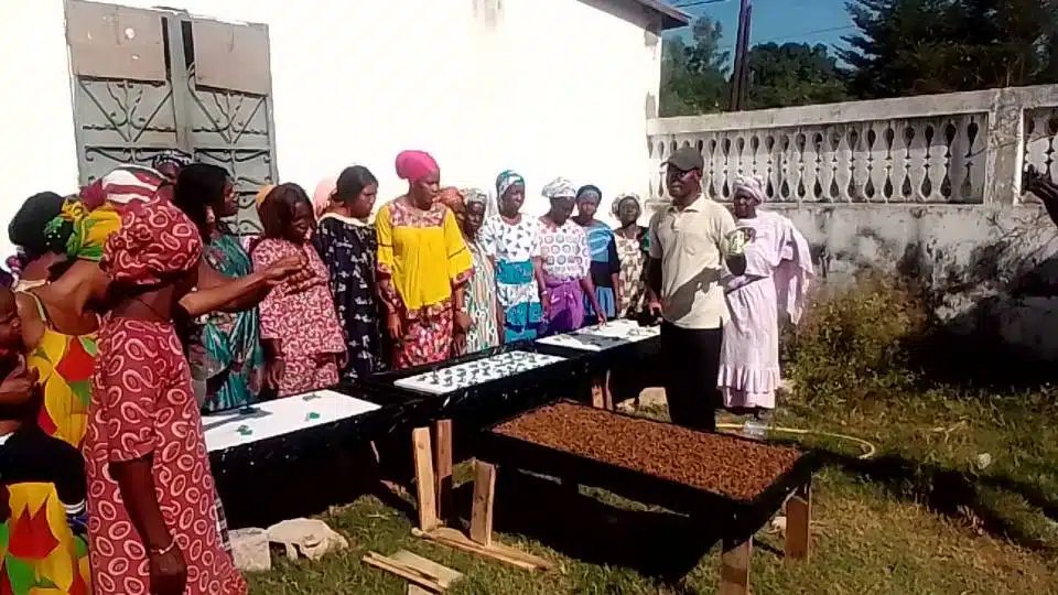 Autonomisation économique des femmes à Kolda : la Mairie forme une trentaine de femmes en techniques de micro-jardinage