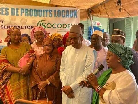 Kolda : les femmes transformatrices des produis locaux  plaident pour  la mécanisation du secteur