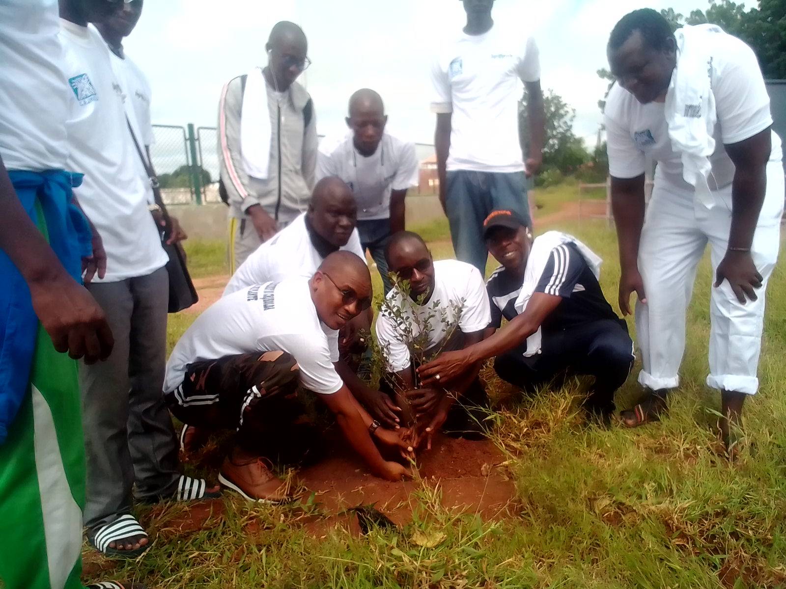 Amélioration du cadre de vie à Kolda : l’ODGAM et le CRJ lancent l’initiative « un jeune, une plante »
