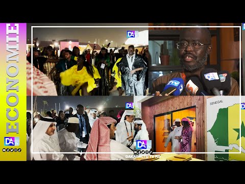 Mohamed H Diallo, ambassadeur au Qatar: Il n’y a pas de clandestin, les deux pays discutent sur…