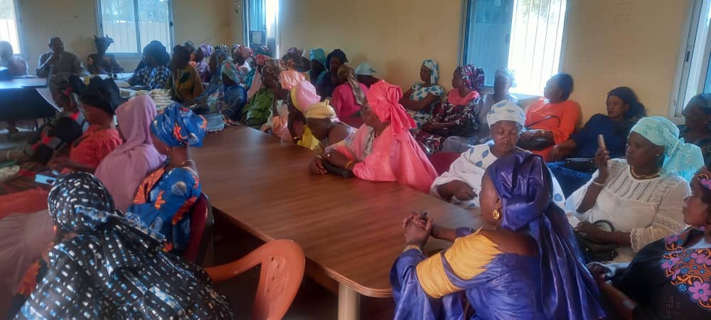 Kolda : le projet Résilience renforce les capacités des femmes en leadership