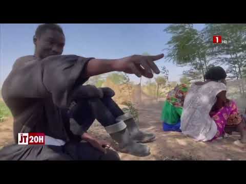 HOMMAGE À SERIGNE BABACAR MBOW | Président de l’ONG Association des villageois de Ndem