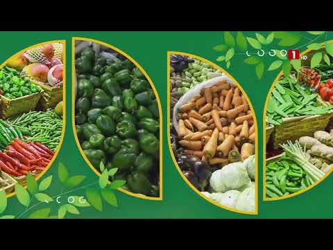 REENI KOOM KOOM – DIMANCHE 12 MAI 2024