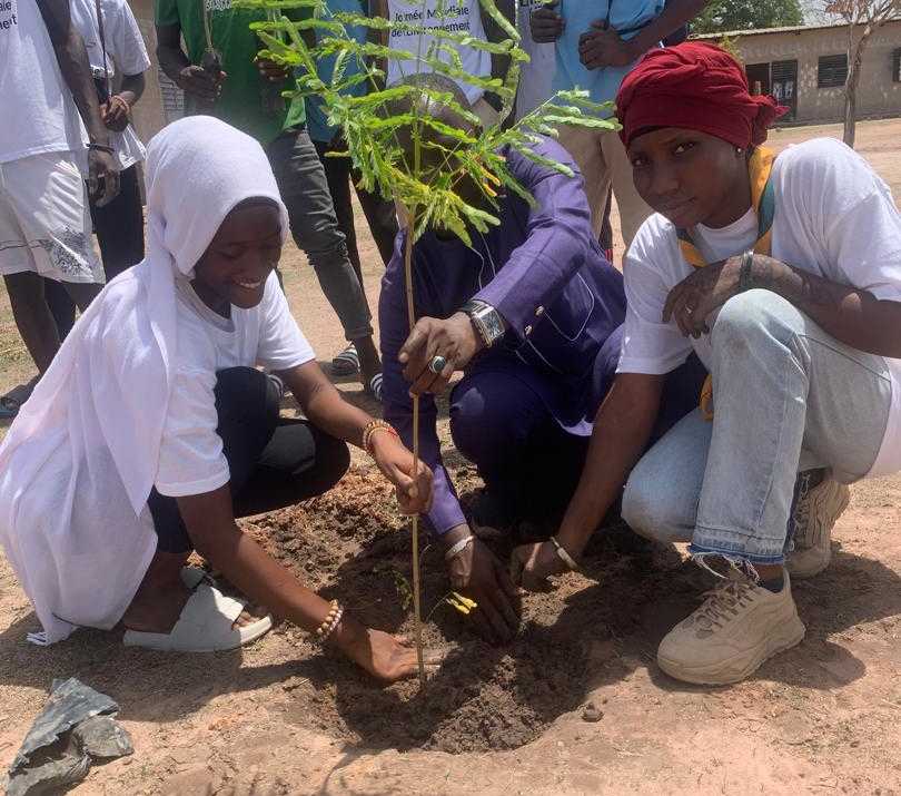 Journée Mondiale de l’Environnement : Plus de 200 plants mis en terre à Dabo par les scouts