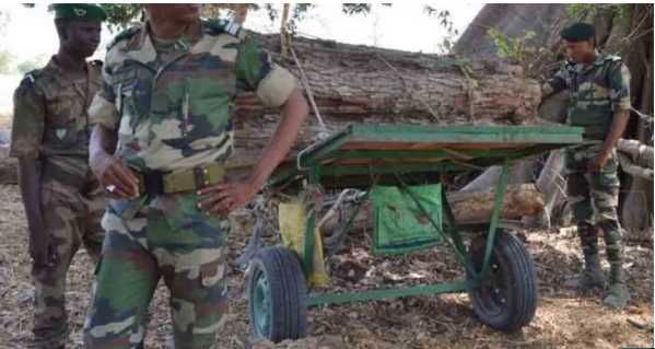 Médina Yoro Foula : attaque violente contre des agents des Eaux et Forêts à Bourouco