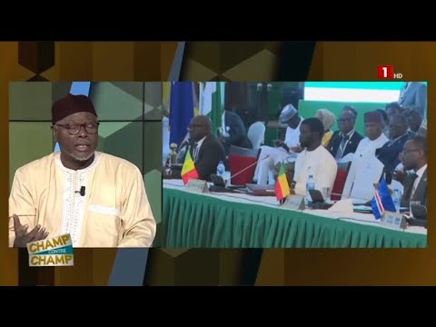 CEDEAO – AES | « Cette désintégration est sous l’influence des puissances impériales», Alioune Tine