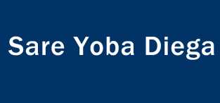 KOLDA – Saré Mansaly en colère : les habitants exigent des ralentisseurs pour sauver des vies