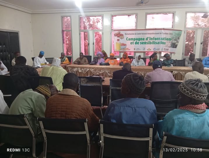 Restructuration du CNIA : Kolda au cœur de la réforme de la filière arachide