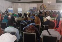 2e édition de la Foire de l’Emploi Vert à Kolda : une initiative de l’OIM pour l’insertion socio-économique et la résilience climatique