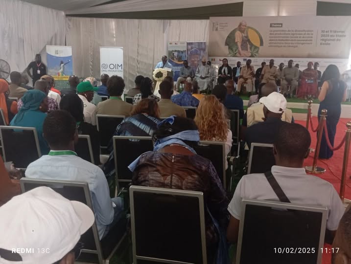 2e édition de la Foire de l’Emploi Vert à Kolda : une initiative de l’OIM  pour l’insertion socio-économique et la résilience climatique